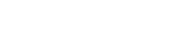 Groupe Synelis